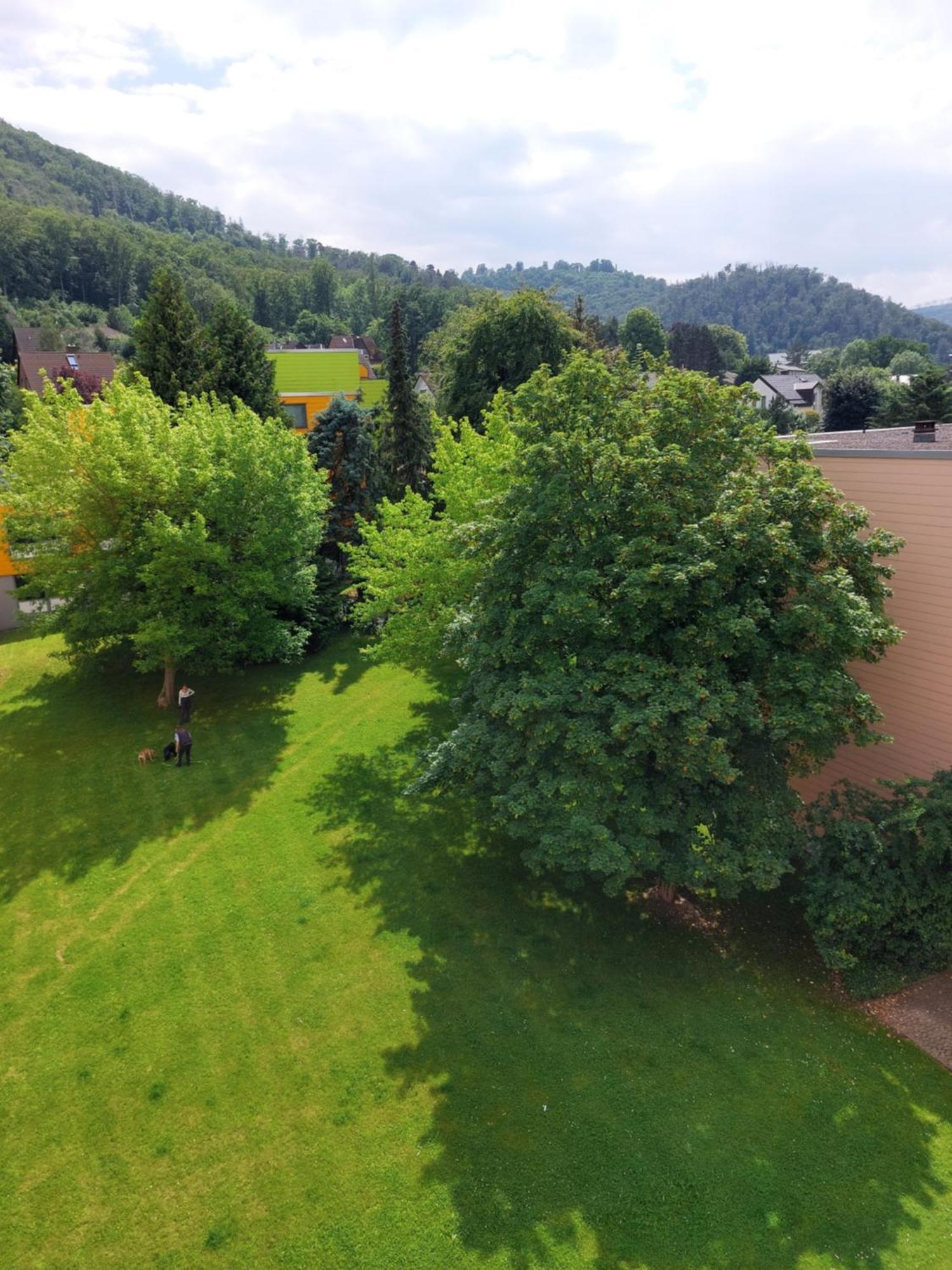 Burgberg-Blick Apartment Bad Harzburg Exterior foto